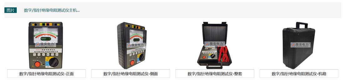 数字/指针绝缘电阻测试仪