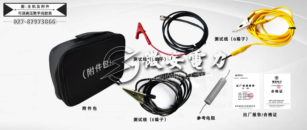 10KV可调高压数字兆欧表全套附件