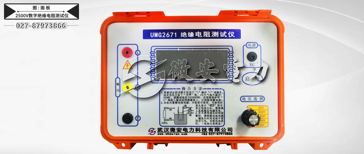 2500V数字绝缘电阻测试仪主机/附件
