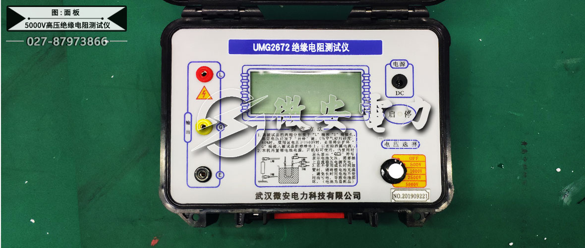 5000V高压绝缘电阻测试仪面板
